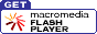 Flash Player installieren
